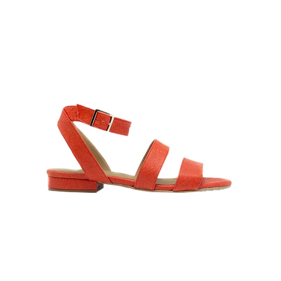 sapatos rasos