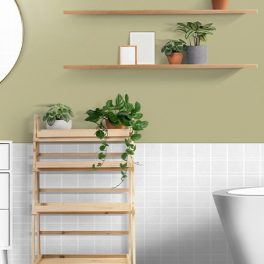 Crónica. Feng Shui e a energia da casa de banho