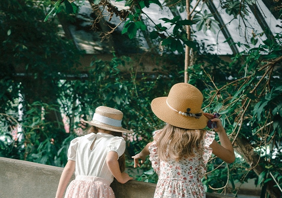 Jardim Botânico