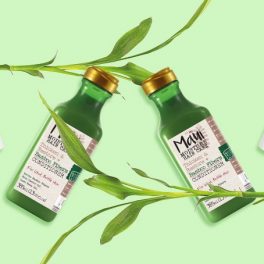 Bambu: o ingrediente que deixa o cabelo profundamente hidratado