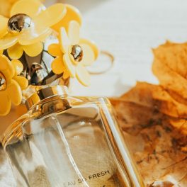Perfumes de outono para aquecer a temporada fria