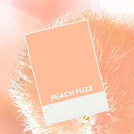 Peach Fuzz: a cor Pantone de 2024 com que queremos pintar o Mundo