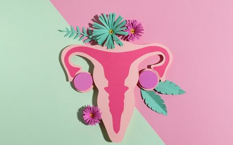 Alimentos para combater o desiquilíbrio hormonal na menopausa