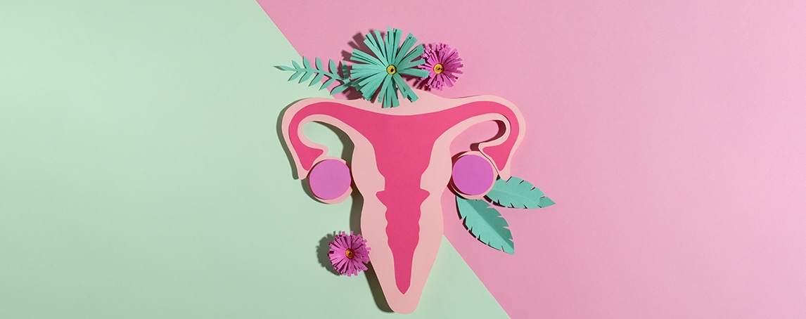 Alimentos para combater o desiquilíbrio hormonal na menopausa