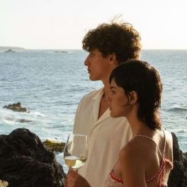 Os bons vinhos de Tenerife, a ilha da Eterna Primavera