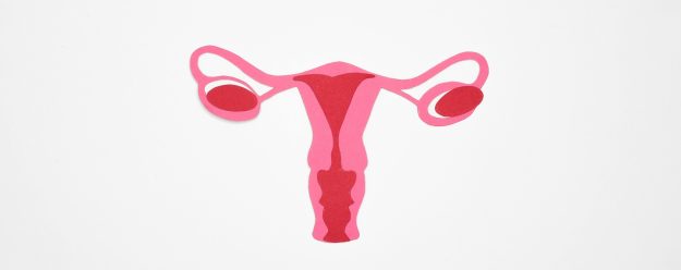 utero