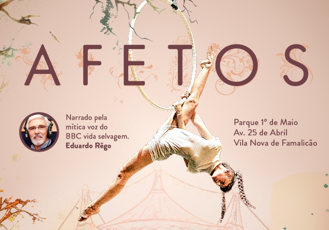 circo de natal afetos