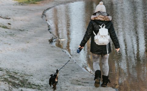 4 dicas para ajudar os animais de estimação a adaptarem-se ao horário de inverno