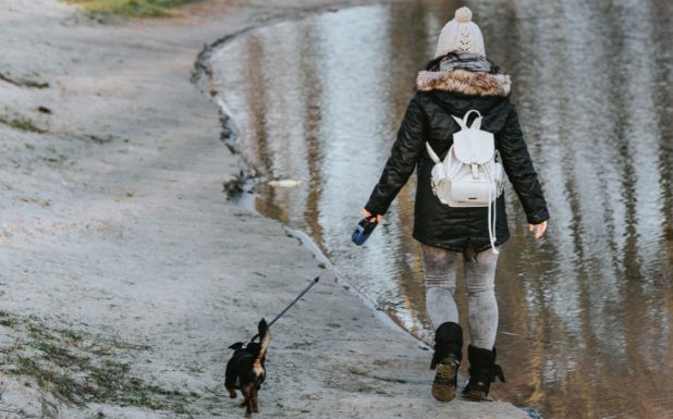 4 dicas para ajudar os animais de estima&ccedil;&atilde;o a adaptarem-se ao hor&aacute;rio de inverno