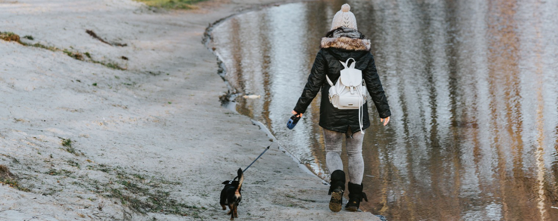 4 dicas para ajudar os animais de estimação a adaptarem-se ao horário de inverno